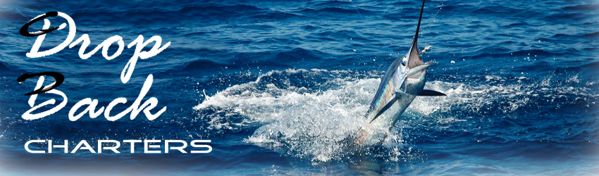 Florida Keys Charter Fishing